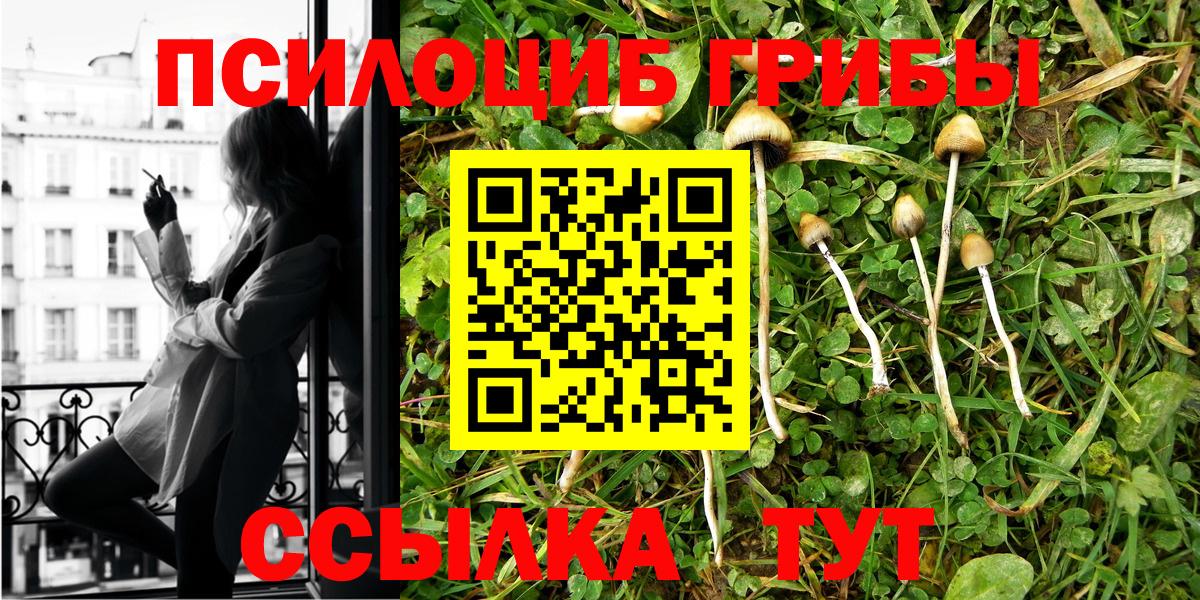 Галлюциногенные грибы GOLDEN TEACHER Междуреченск