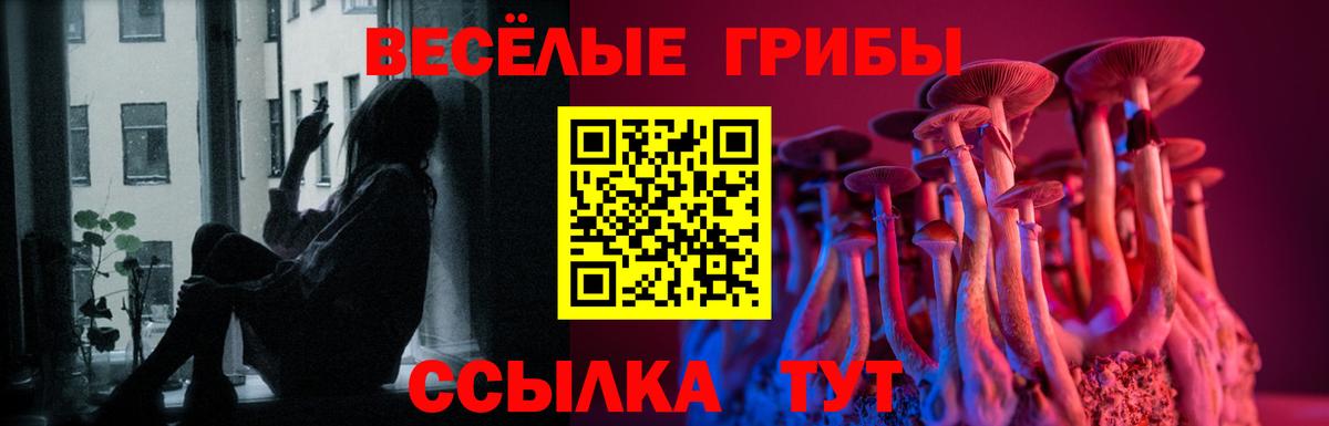Галлюциногенные грибы прущие грибы  Вход с VPN  где найти   Галлюциногенные грибы Psilocybine cubensis  Междуреченск 