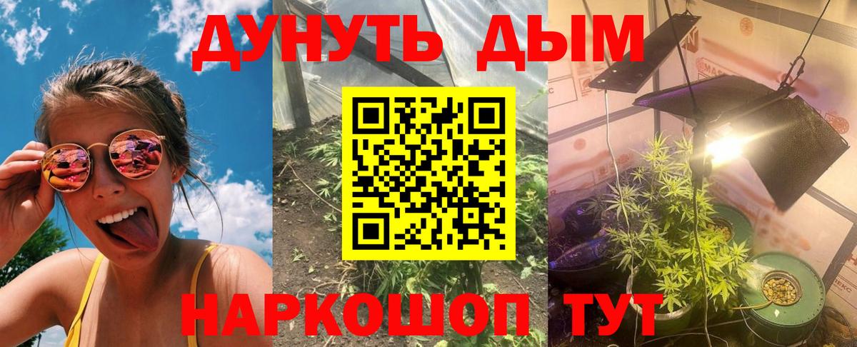 Марихуана Ganja  Бошки марихуана THC 21%  Вход с VPN  Междуреченск 